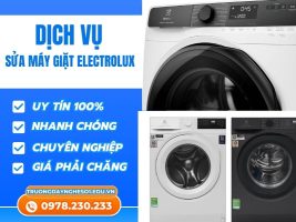 Mẫu Mới T72024 (19)