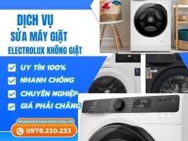 Mẫu Mới T72024 (3)