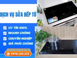 Mẫu Mới T72024 (6)