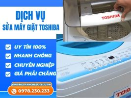 Mẫu Mới T72024 (13)