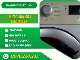 Loi E20 May Giat Electrolux Dayngheso1